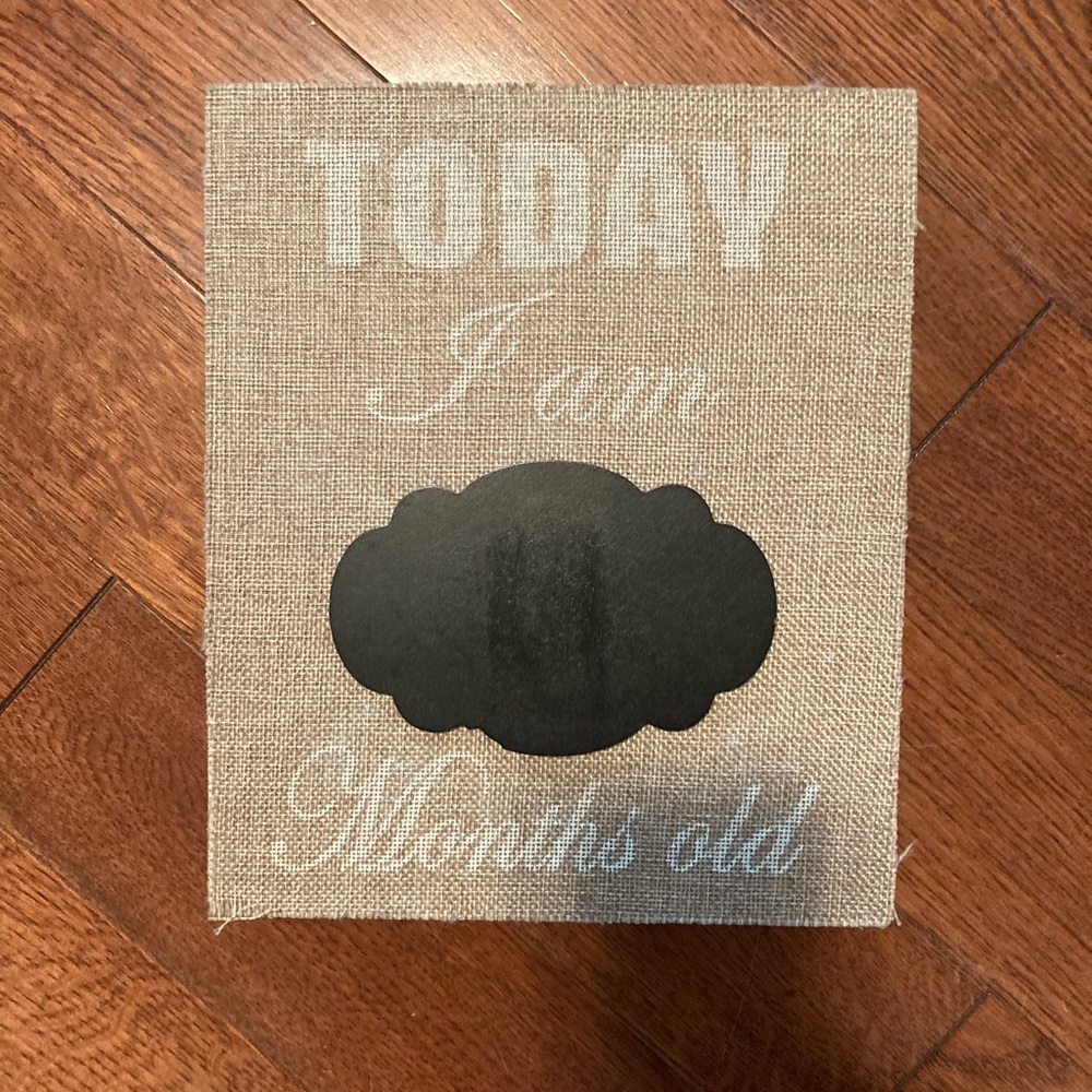 2/$5 Milestone Baby Photo Sign - "How many months old"